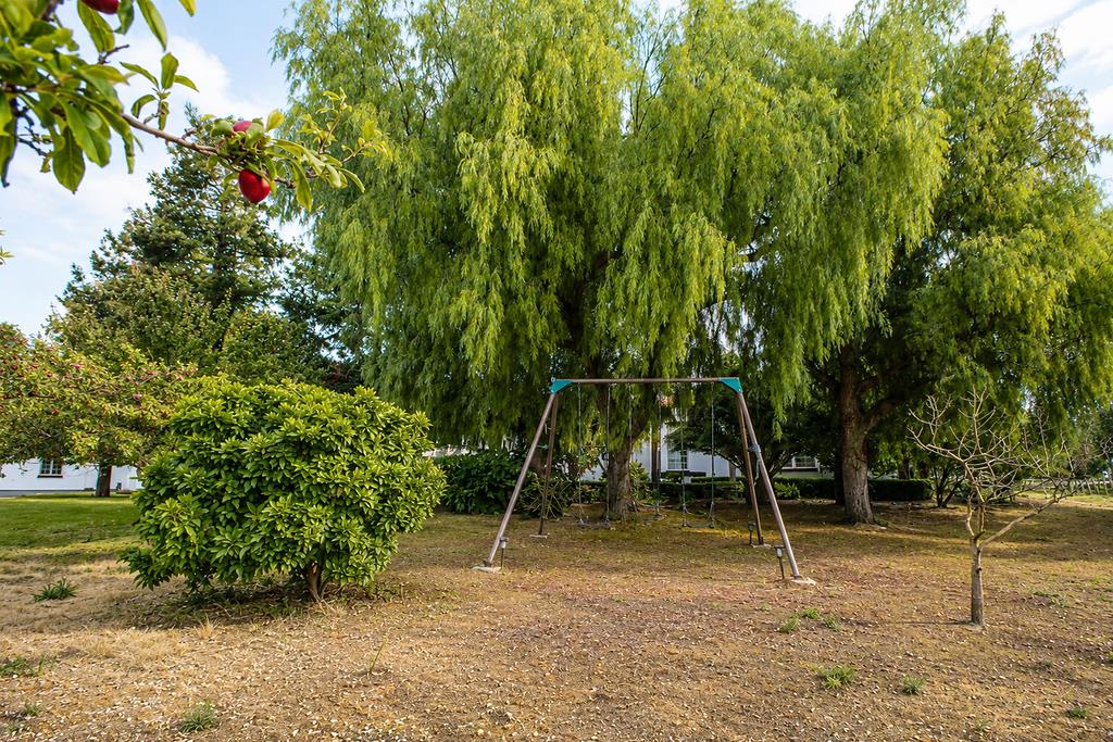 1150 Stony Brook Drive