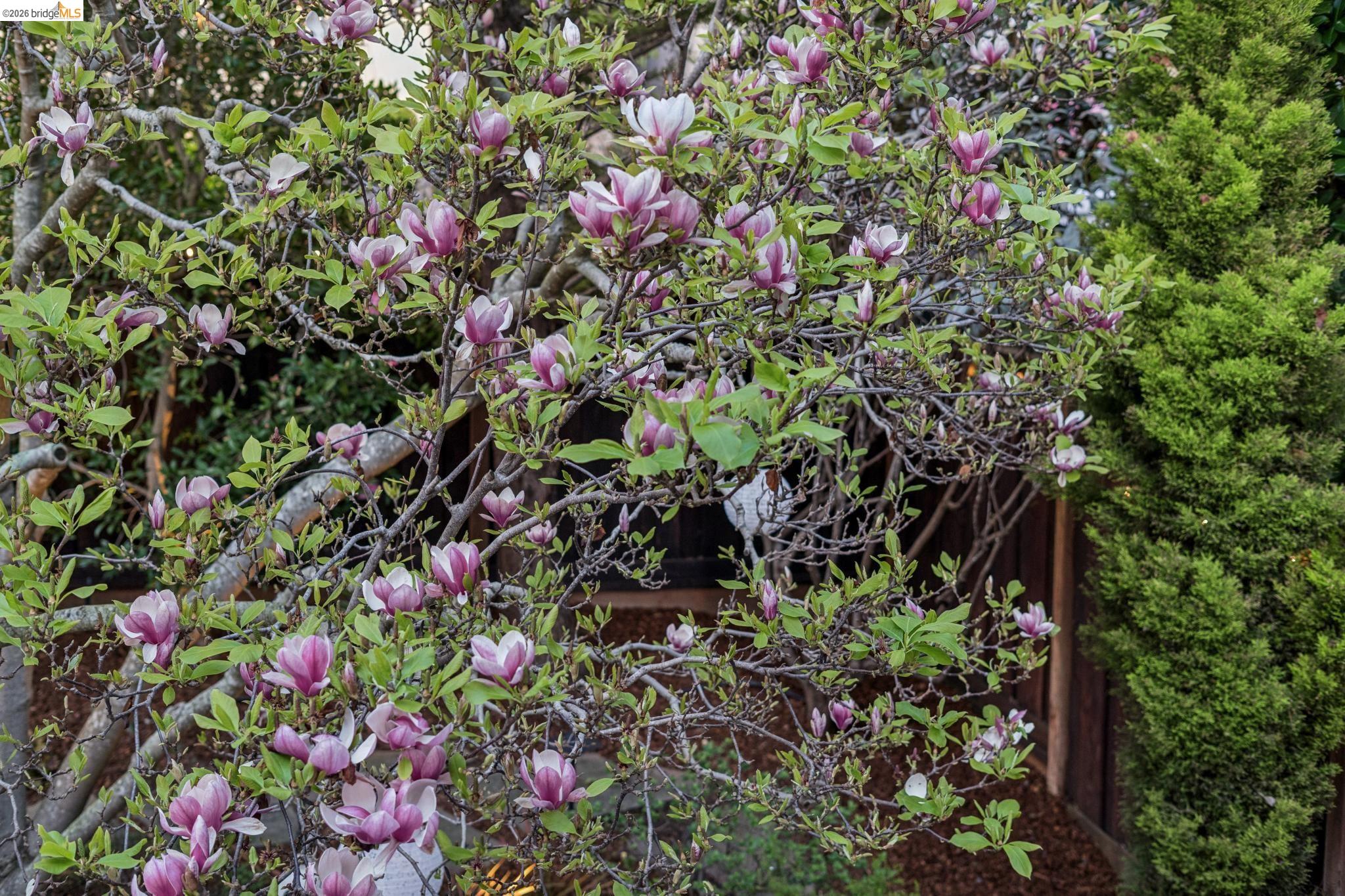 5416 GOLDEN GATE Ave