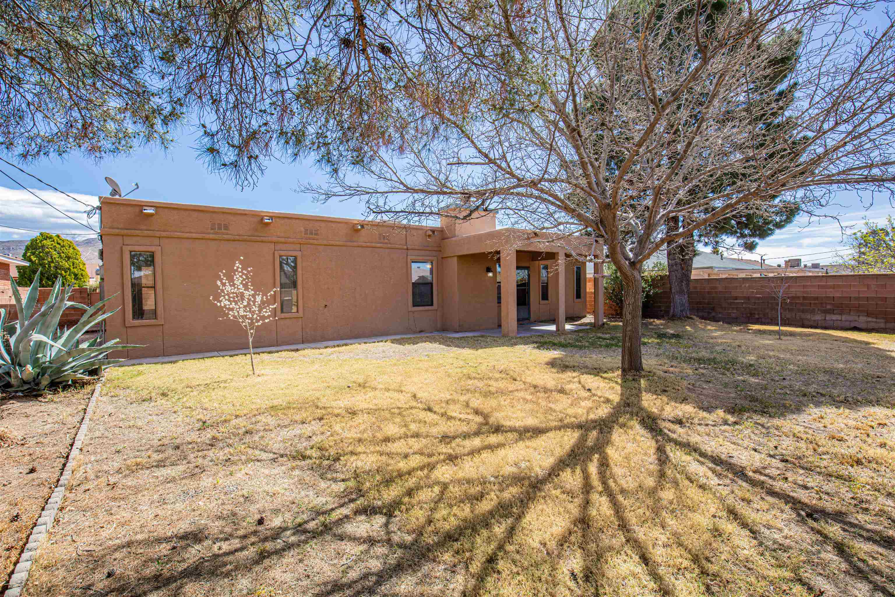 3509 Greasewood AVE