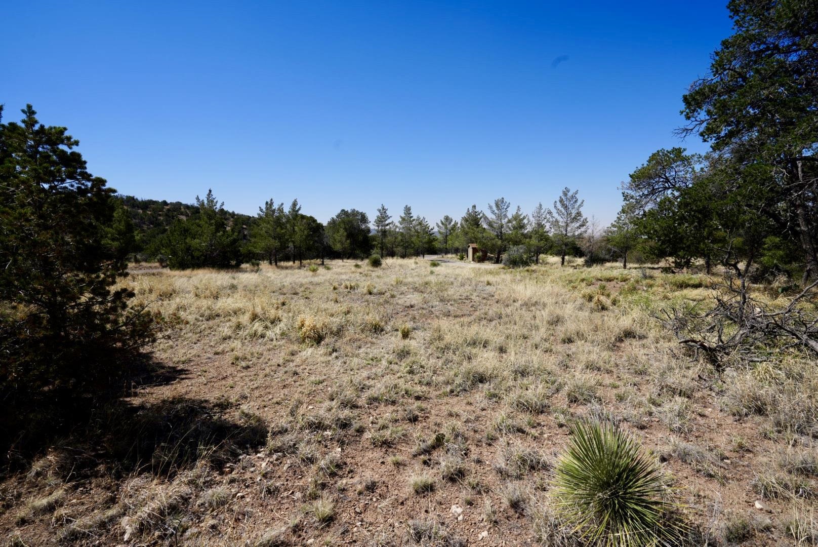 83 Cottonwood Canyon RD