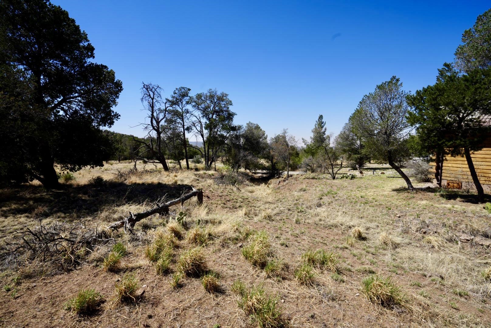 83 Cottonwood Canyon RD