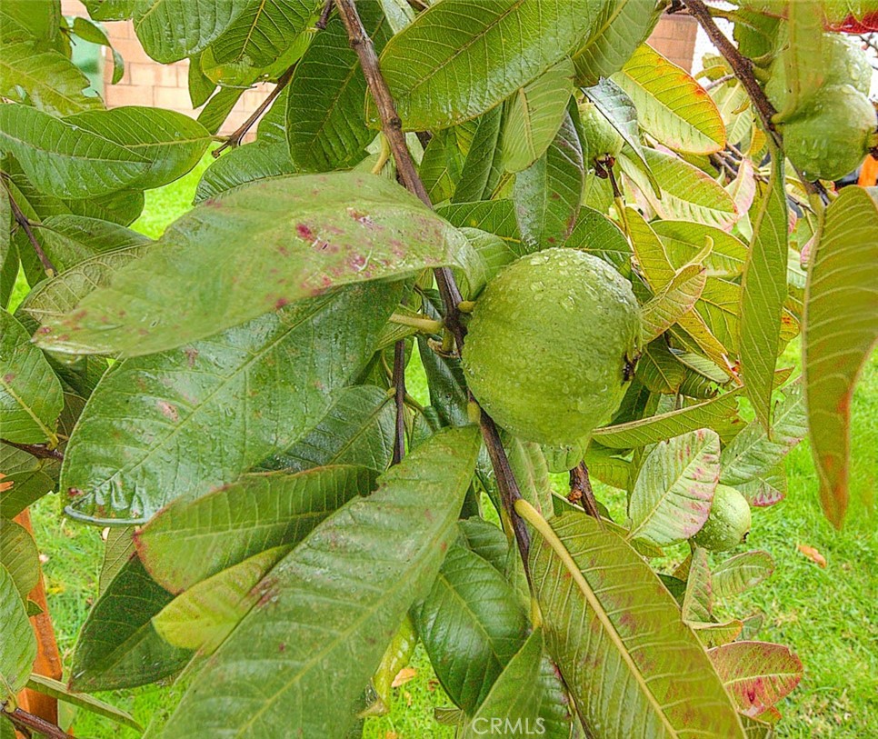 18809 E Ghent Street