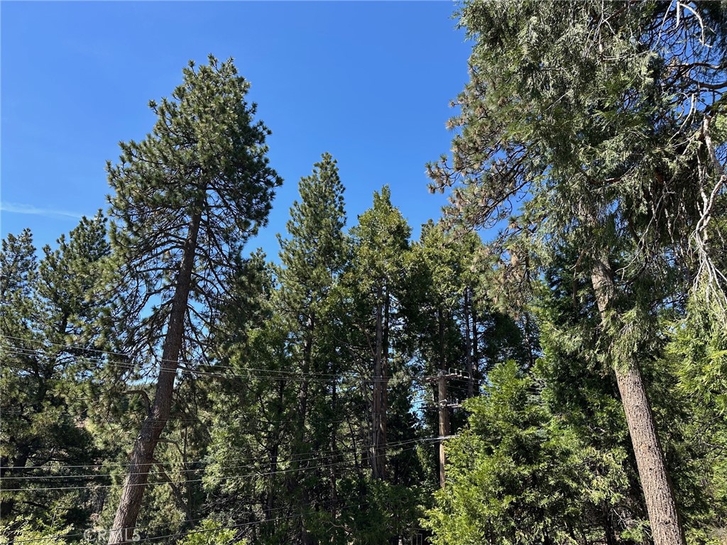 2551 Rim Of The World Drive