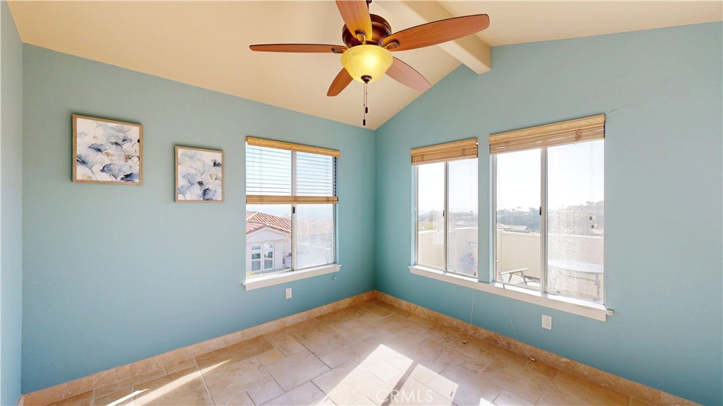 1624 Caminito Solidago