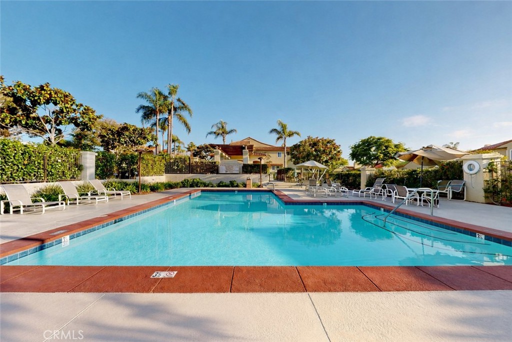 1624 Caminito Solidago