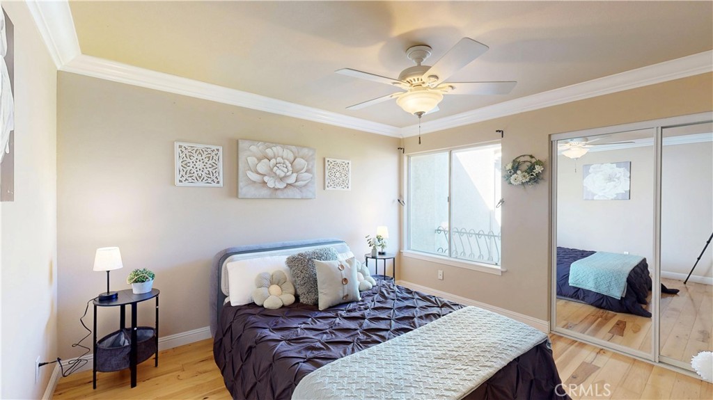 1624 Caminito Solidago