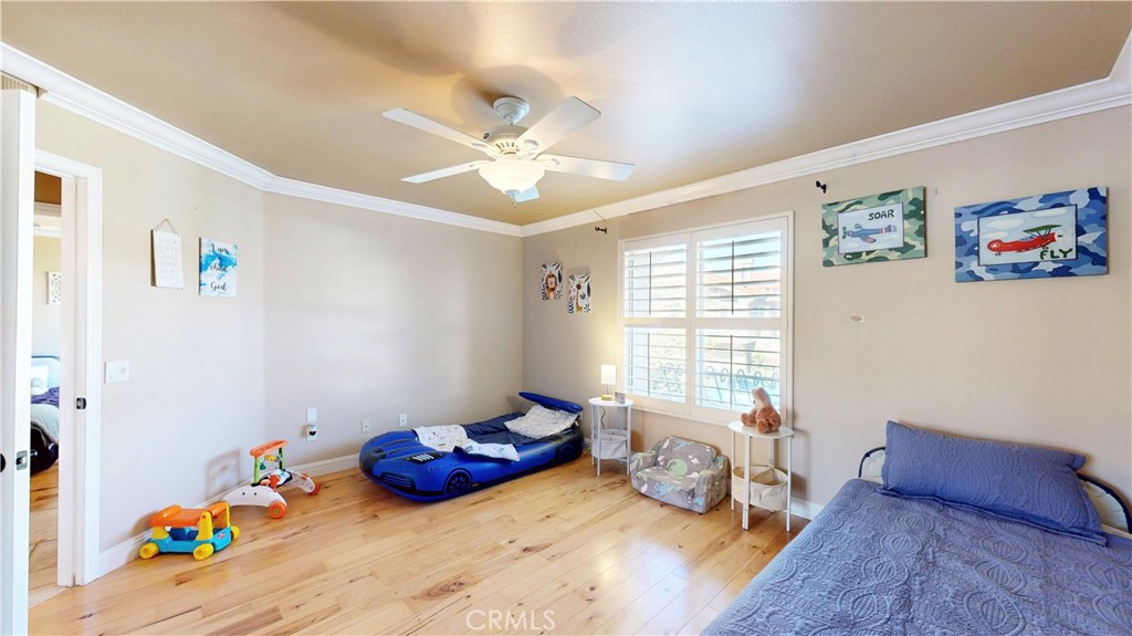 1624 Caminito Solidago