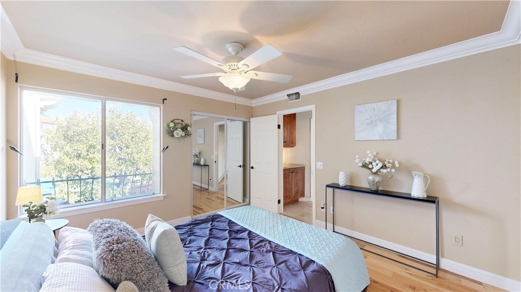 1624 Caminito Solidago