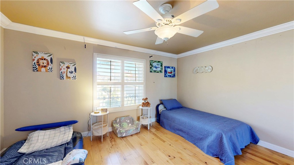 1624 Caminito Solidago