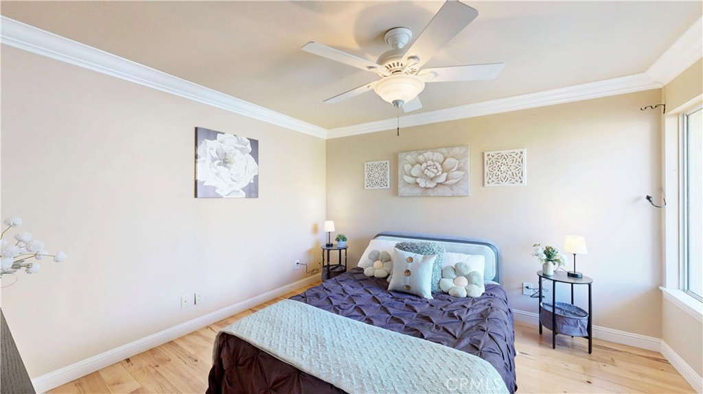 1624 Caminito Solidago