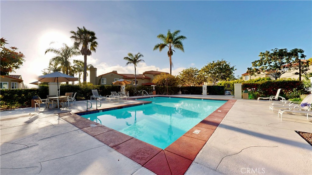 1624 Caminito Solidago