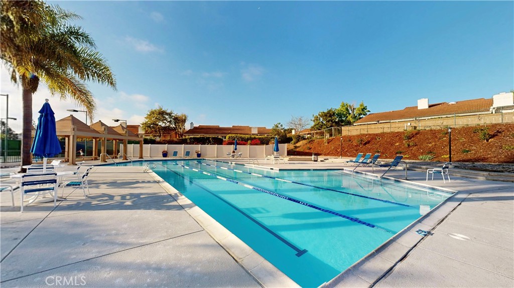 1624 Caminito Solidago