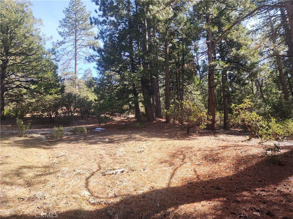 52547 Pine Cove