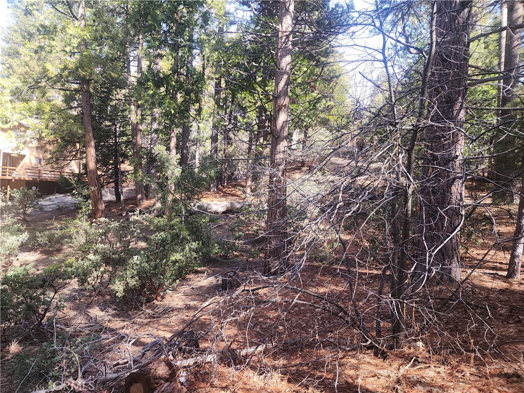 52547 Pine Cove