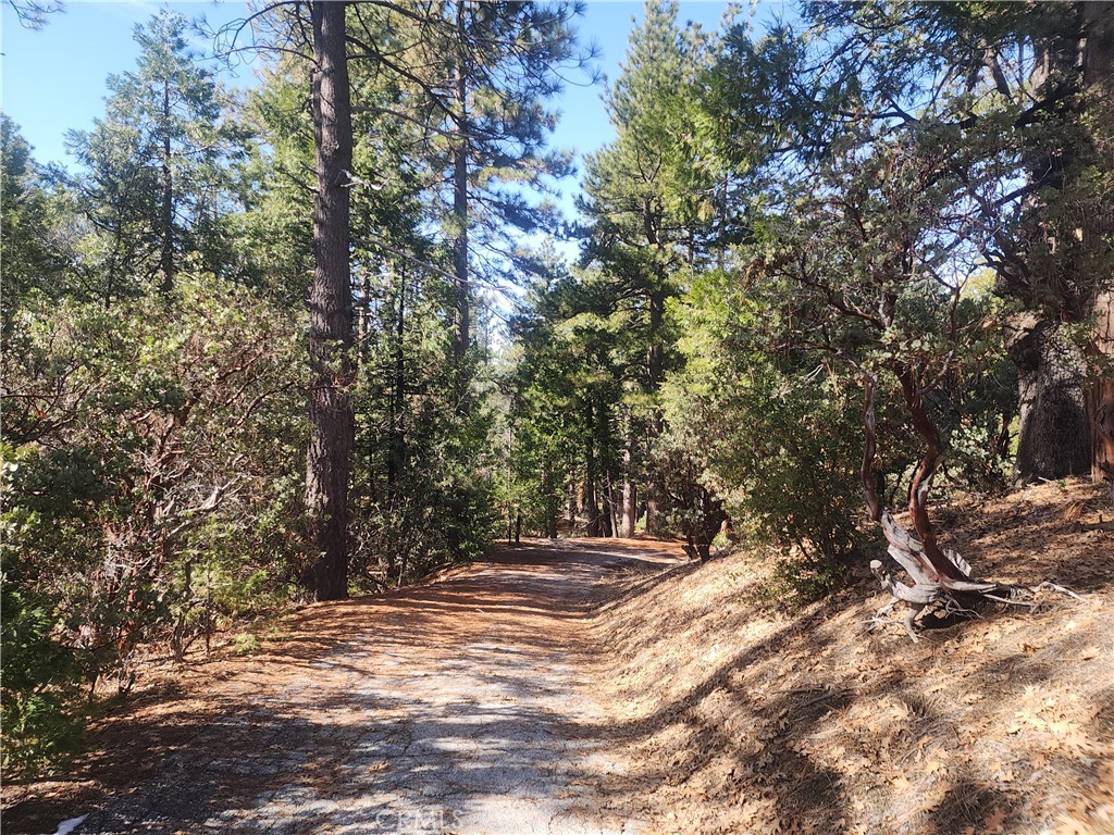 52547 Pine Cove