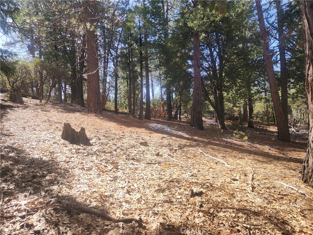 52547 Pine Cove