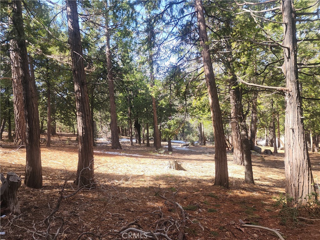 52547 Pine Cove