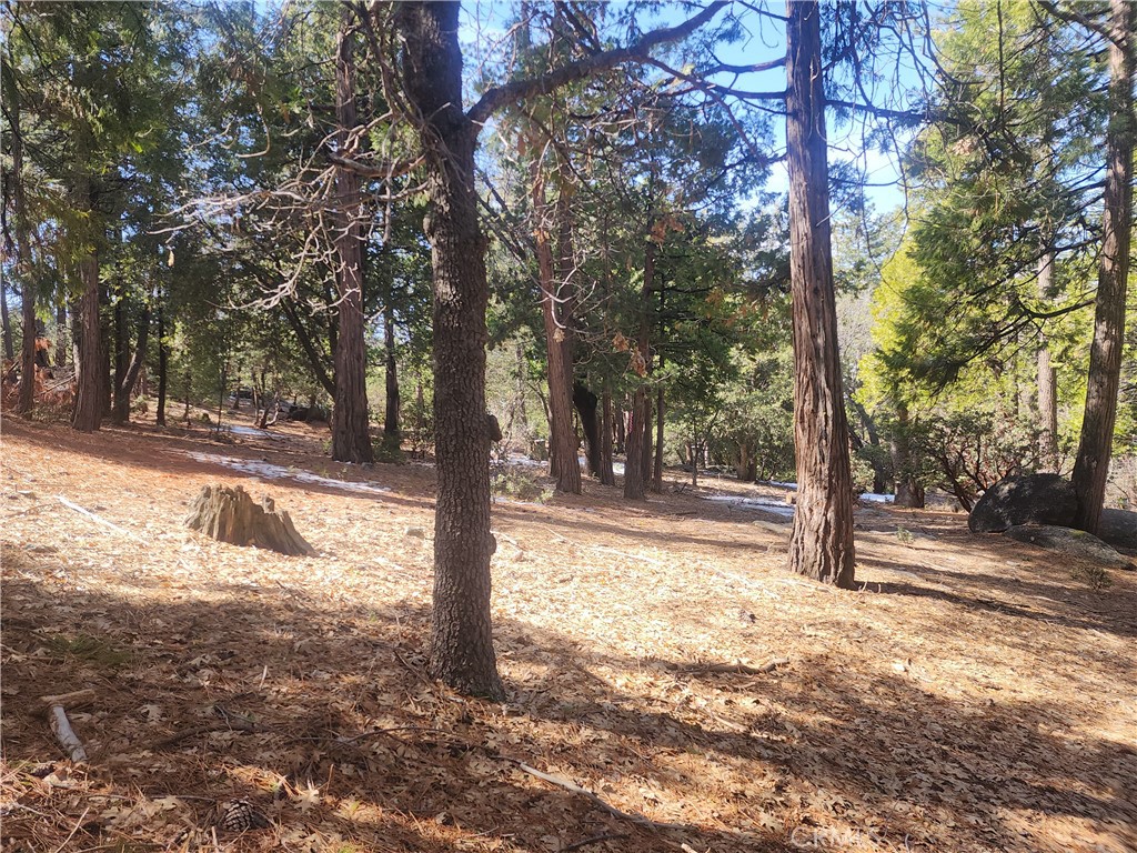 52547 Pine Cove