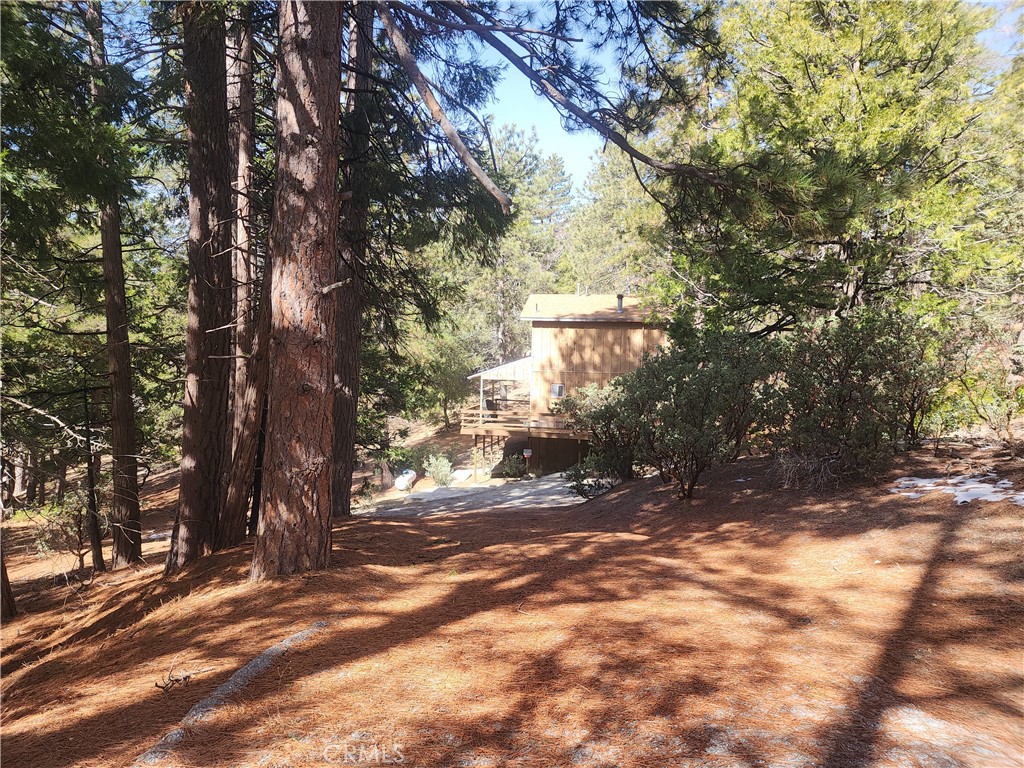 52547 Pine Cove