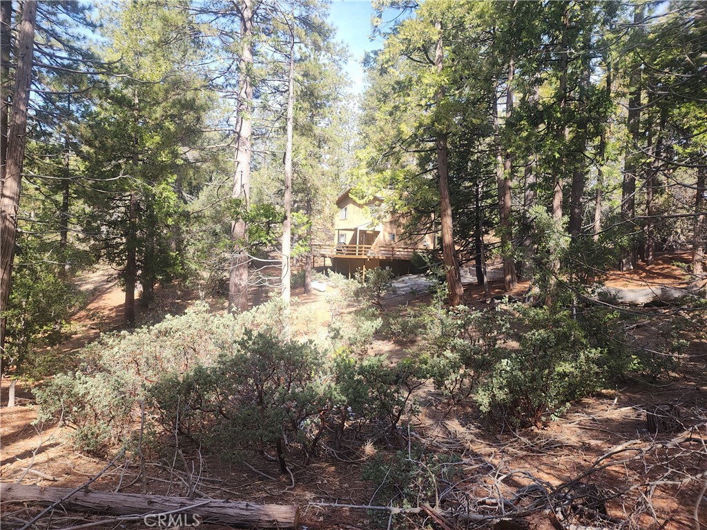 52547 Pine Cove