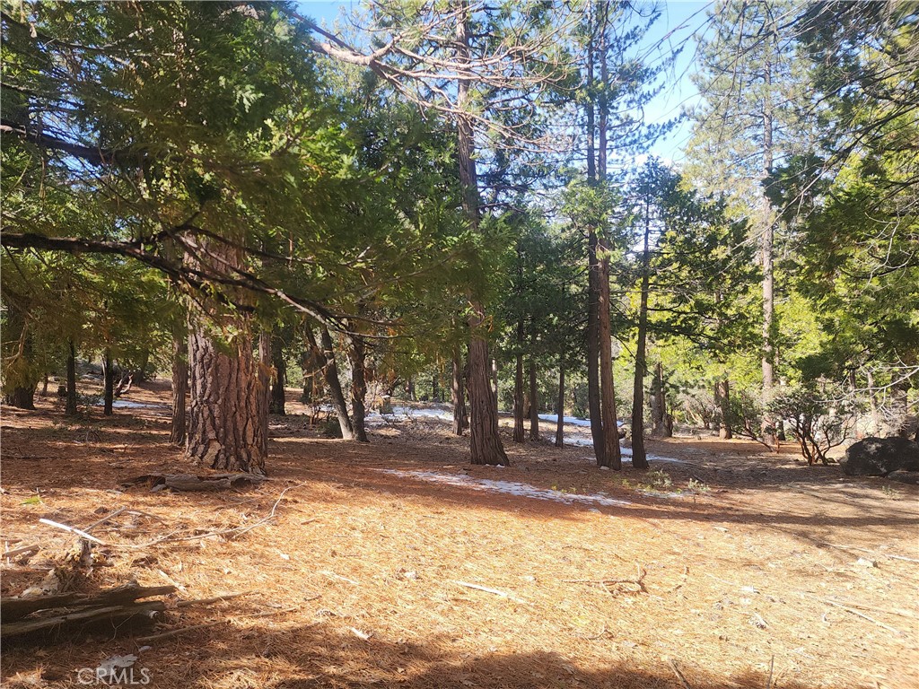 52547 Pine Cove