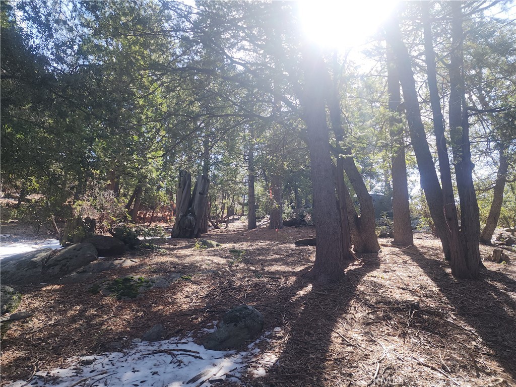 52547 Pine Cove
