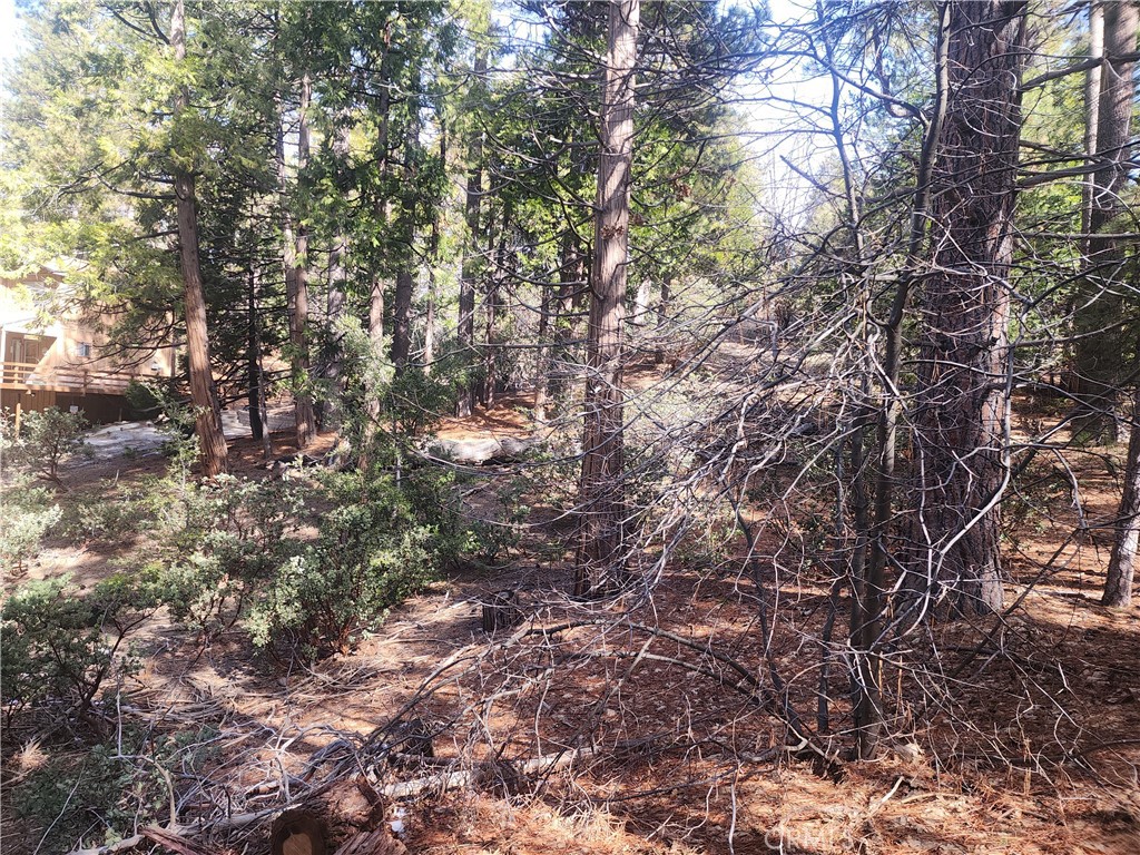 52547 Pine Cove