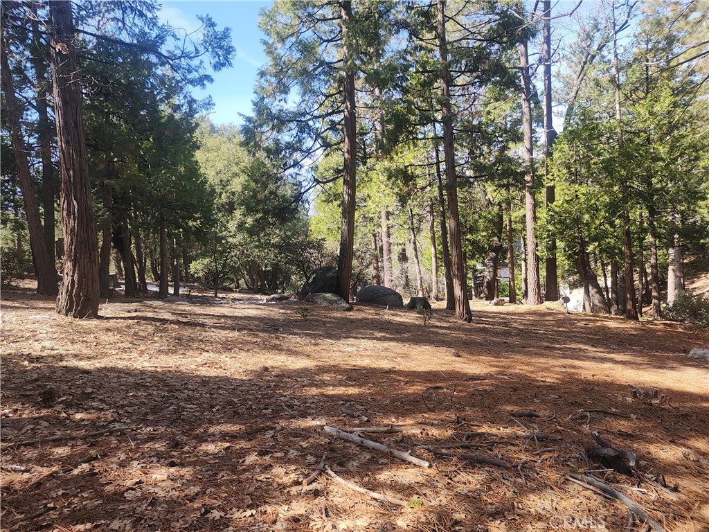 52547 Pine Cove