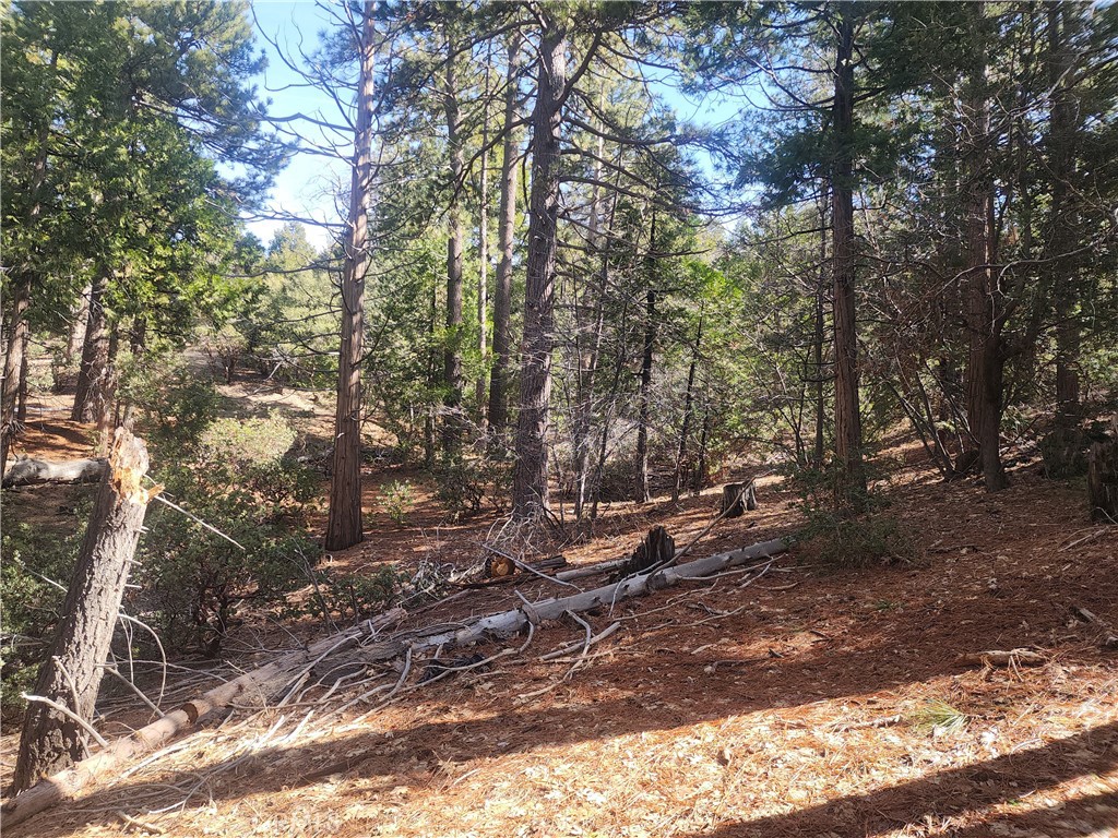 52547 Pine Cove