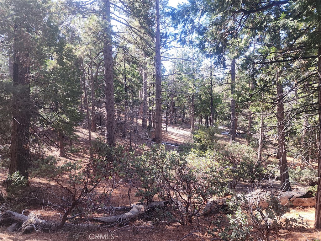 52547 Pine Cove