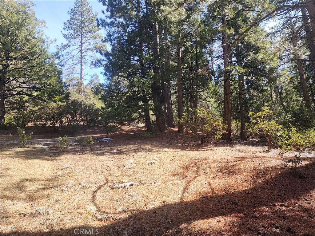 52547 Pine Cove