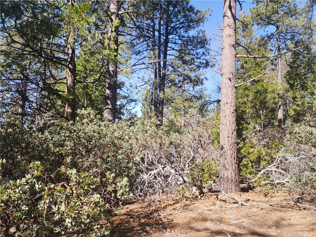52547 Pine Cove