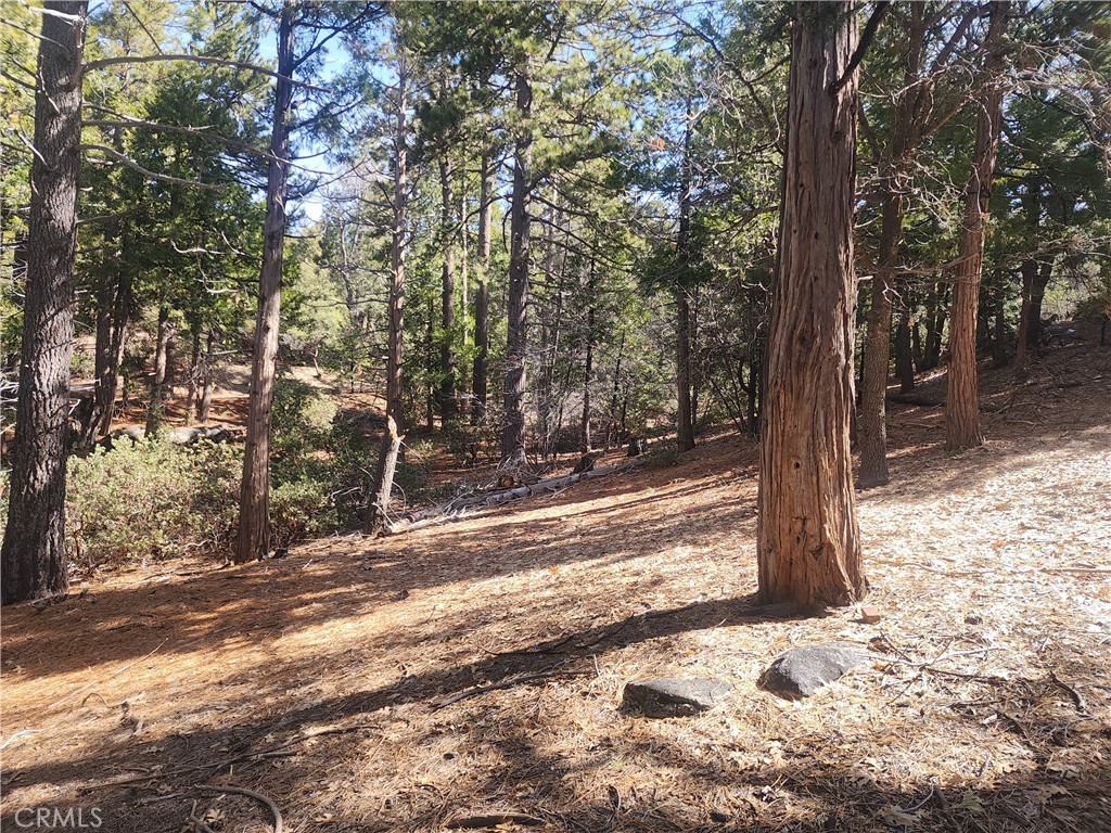 52547 Pine Cove