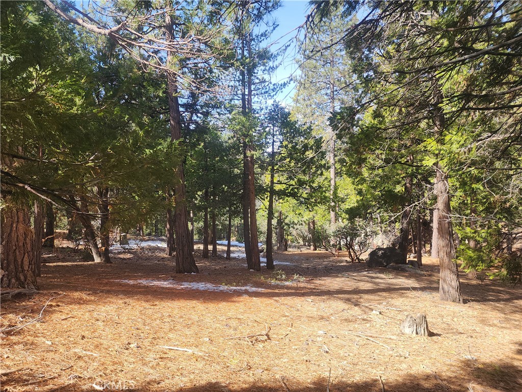 52547 Pine Cove