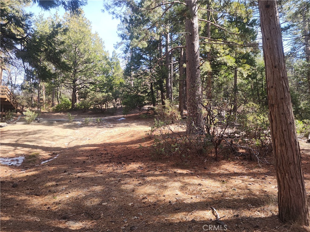 52547 Pine Cove