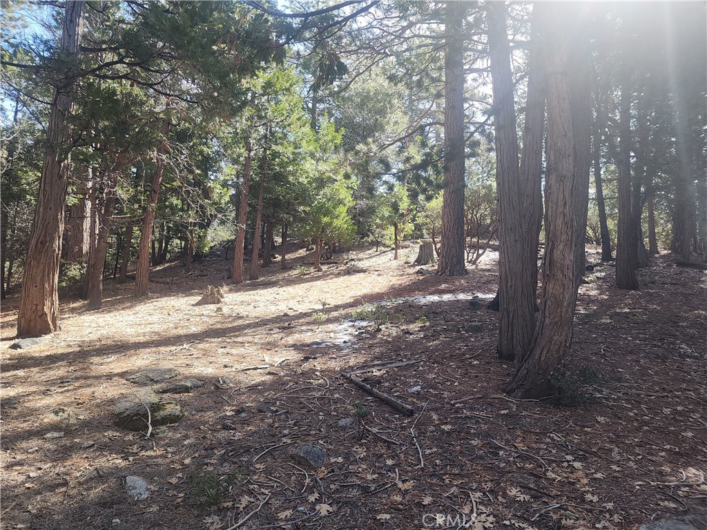 52547 Pine Cove