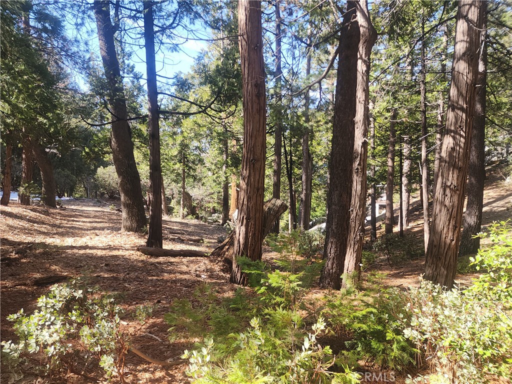 52547 Pine Cove