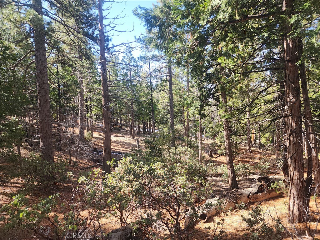 52547 Pine Cove
