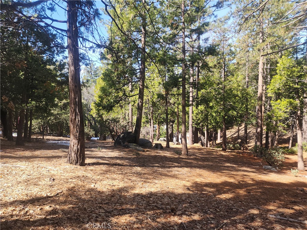52547 Pine Cove