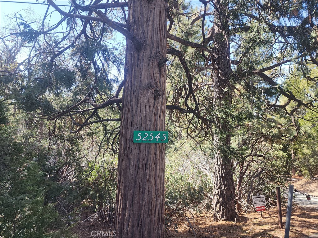 52547 Pine Cove