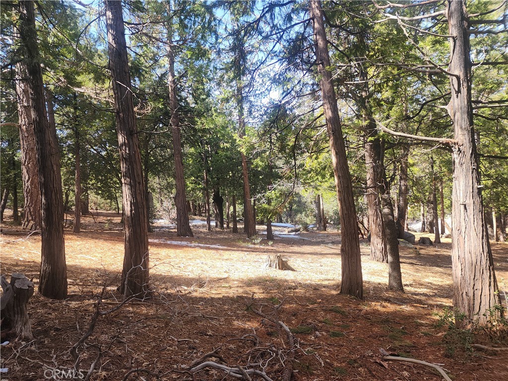 52547 Pine Cove