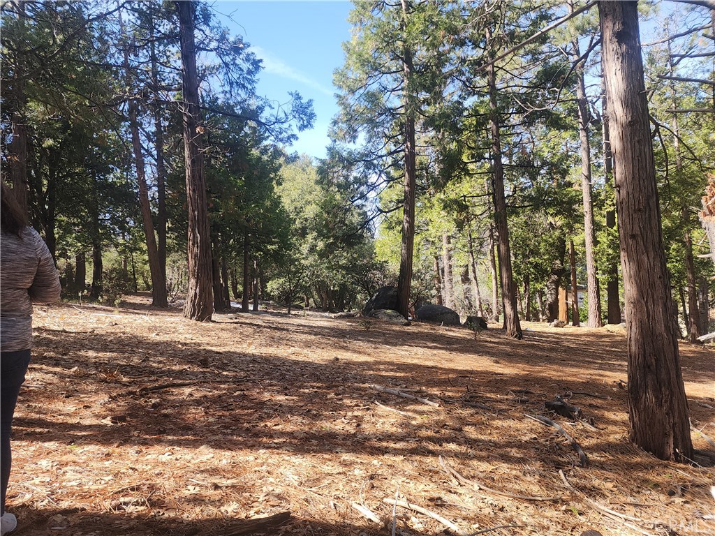 52547 Pine Cove