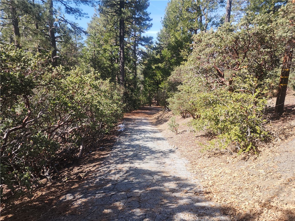 52547 Pine Cove