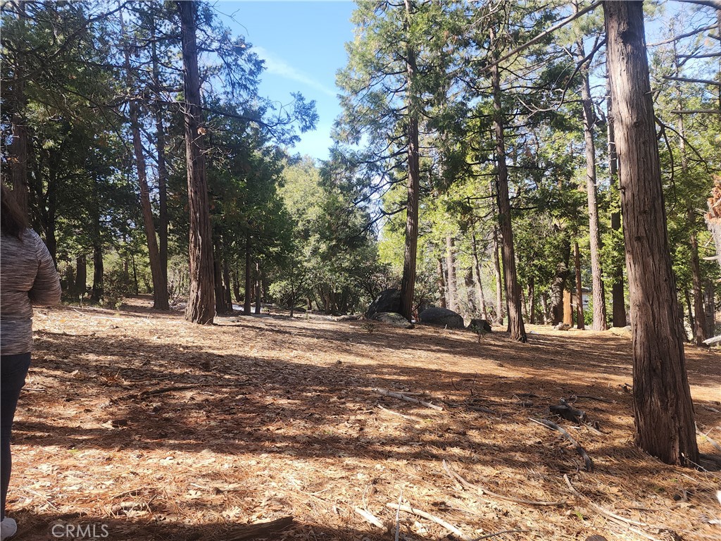 52547 Pine Cove