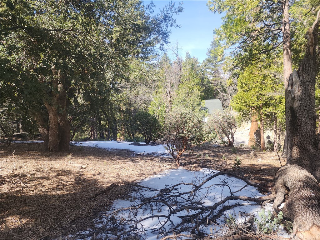 52547 Pine Cove