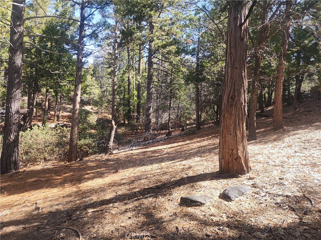 52547 Pine Cove