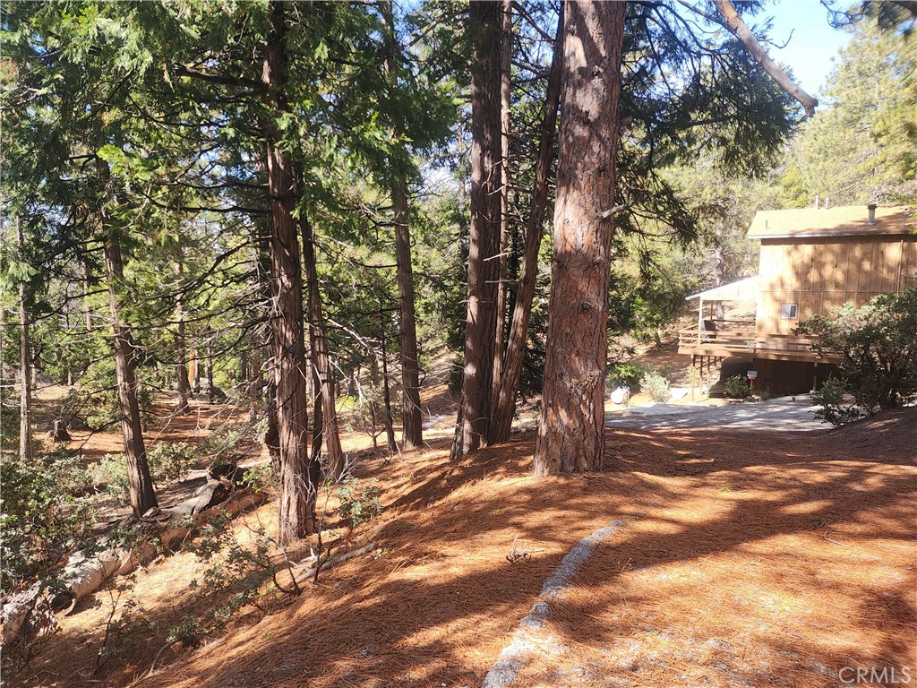 52547 Pine Cove