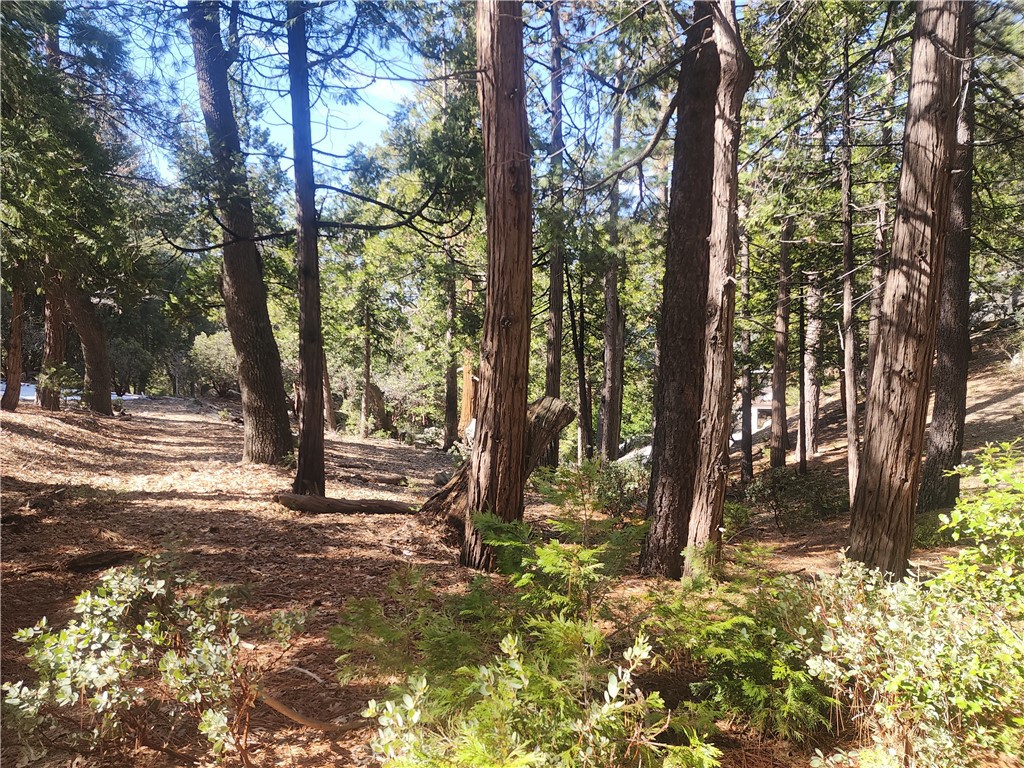 52547 Pine Cove