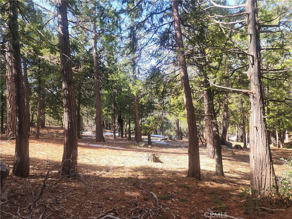 52547 Pine Cove