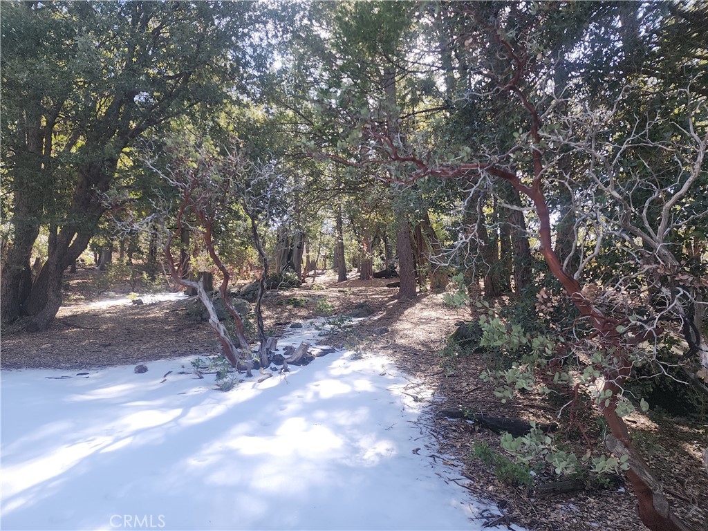 52547 Pine Cove